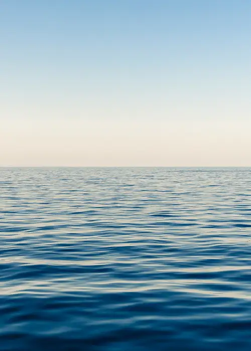 The Ocean