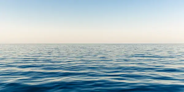 Everything You Need to Know About the MSC Belissima