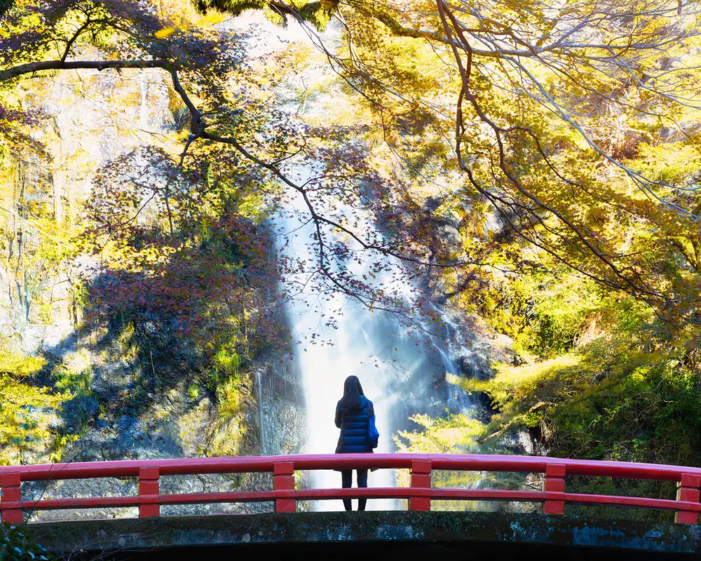 A landscape shot of the nature of Tokyo