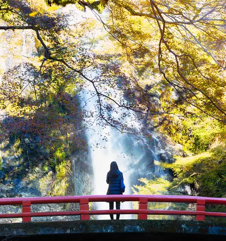A landscape shot of the nature of Tokyo