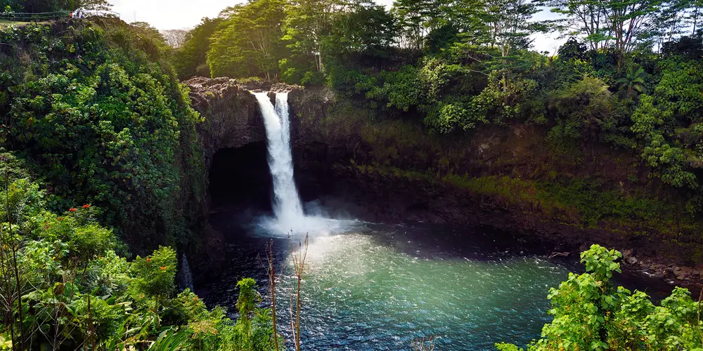 An image of a waterfall surrounded by greenery on Hawai'i island