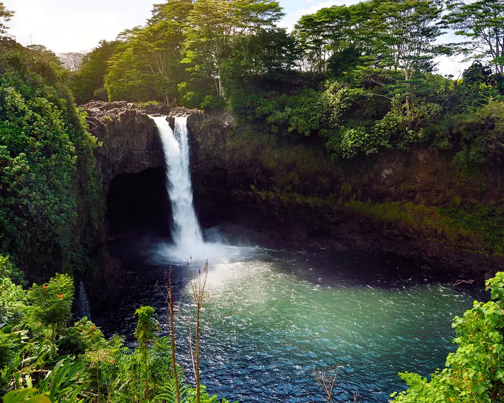An image of a waterfall surrounded by greenery on Hawai'i island