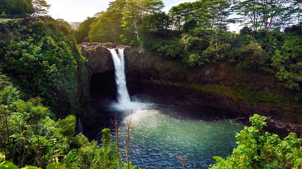 An image of a waterfall surrounded by greenery on Hawai'i island