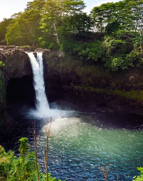 An image of a waterfall surrounded by greenery on Hawai'i island