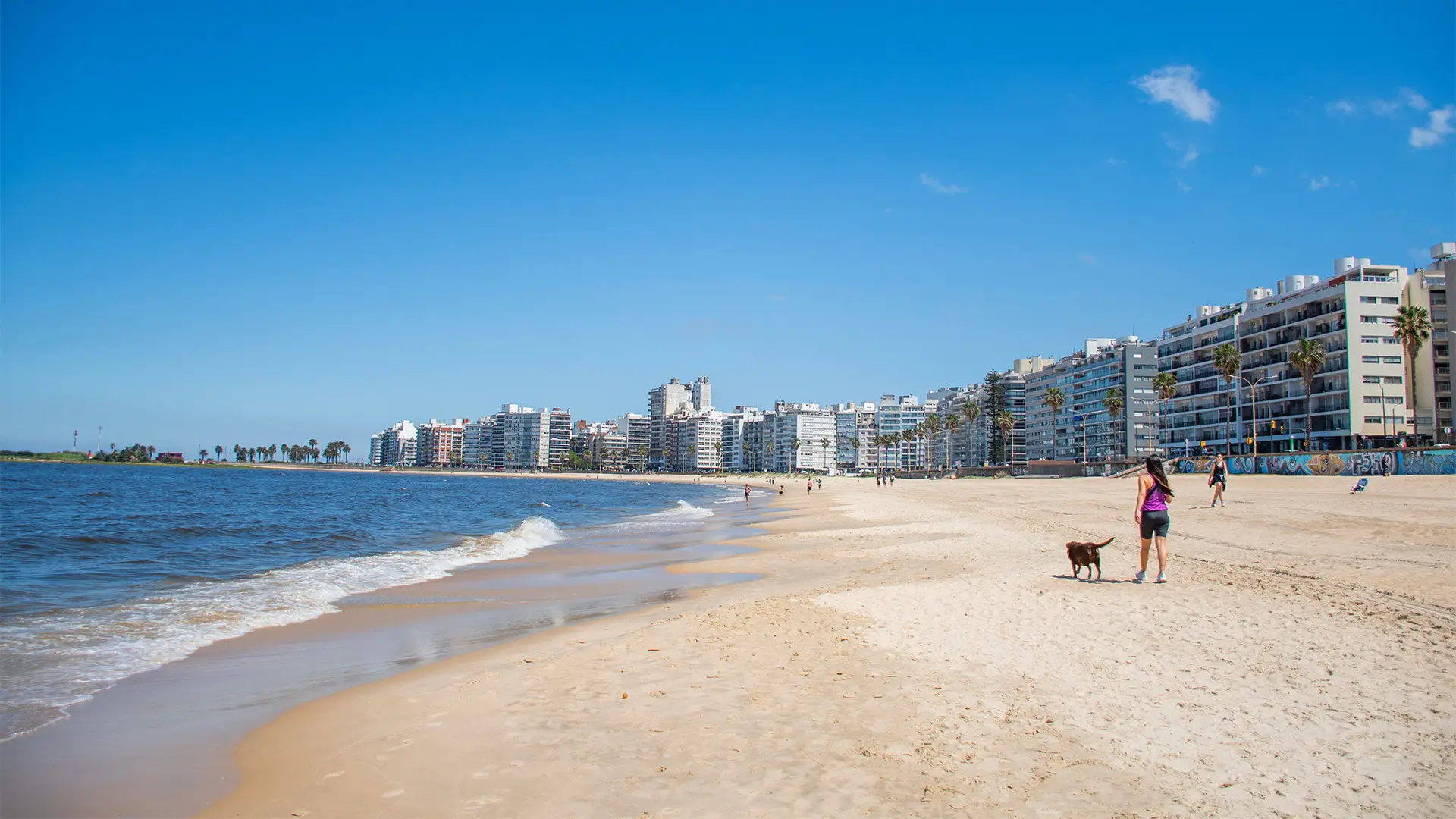 A View of a Beach in Montevideo, Uruguay