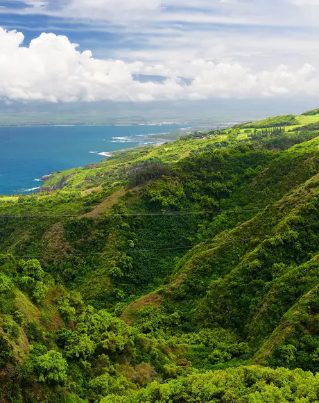 An Aerial image of a nature trail in Maui, Hawaii