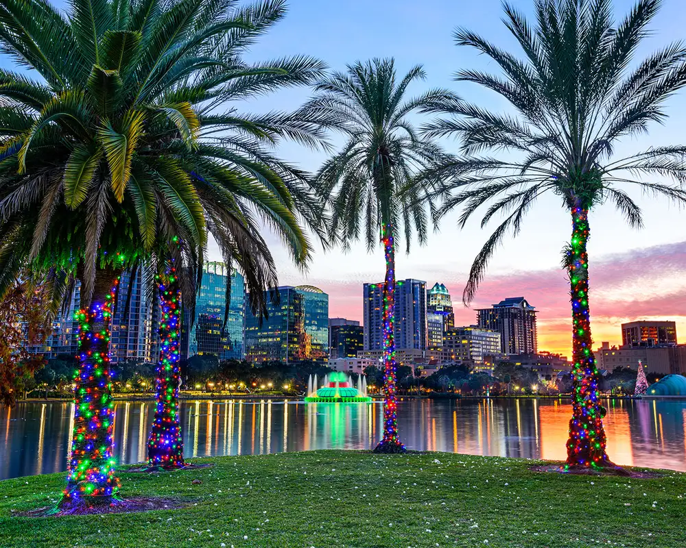 Orlando during a sunset with lit up palm trees