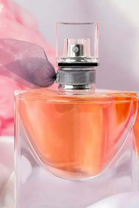 A bottle of Perfume