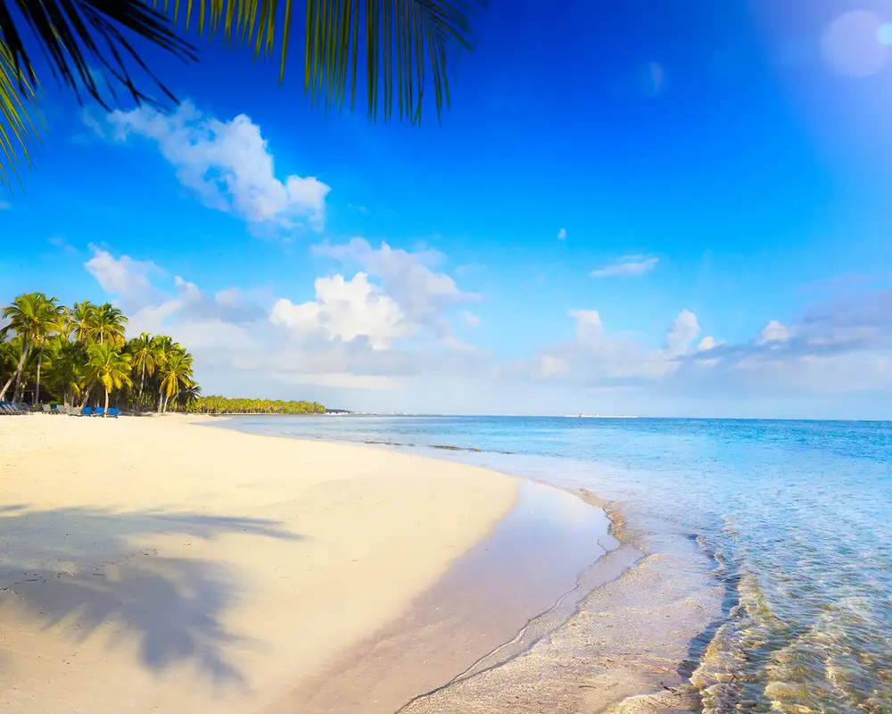A Tropical Beach