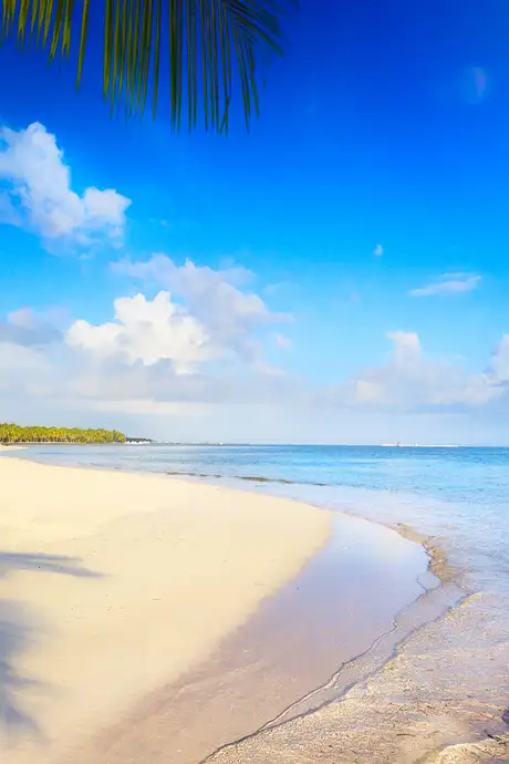 A Tropical Beach