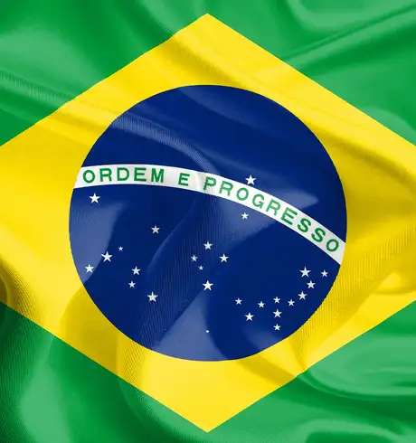 The Brazil Flag