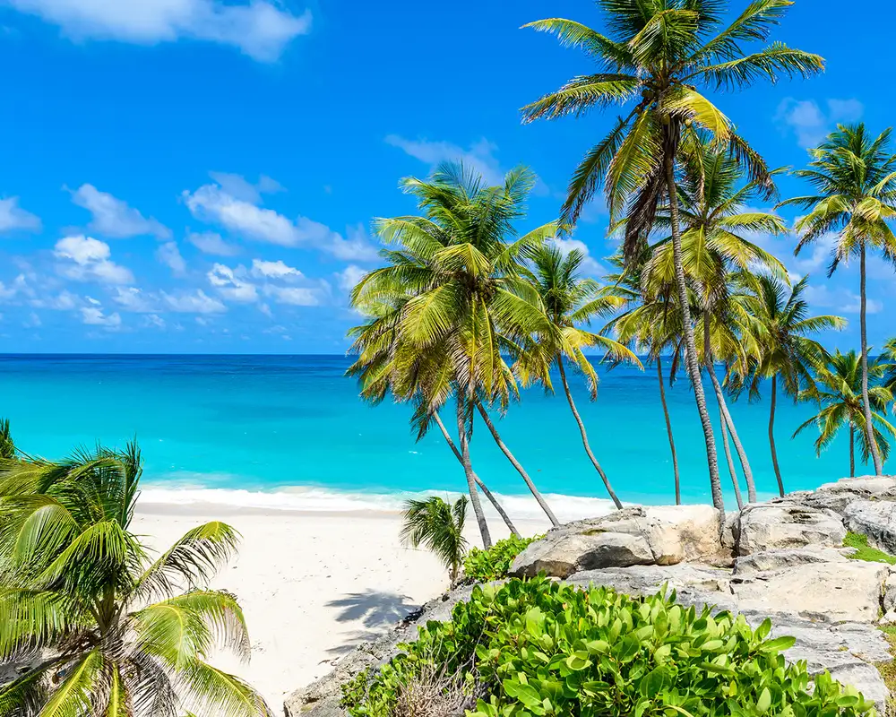 A Beach in Barbados called Bottom Bay. Crystal blue waters and palm trees are in view