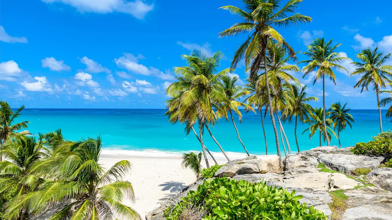 A Beach in Barbados called Bottom Bay. Crystal blue waters and palm trees are in view