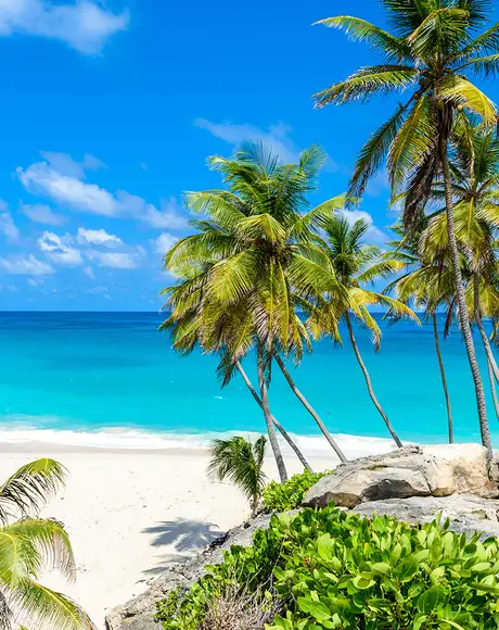 A Beach in Barbados called Bottom Bay. Crystal blue waters and palm trees are in view