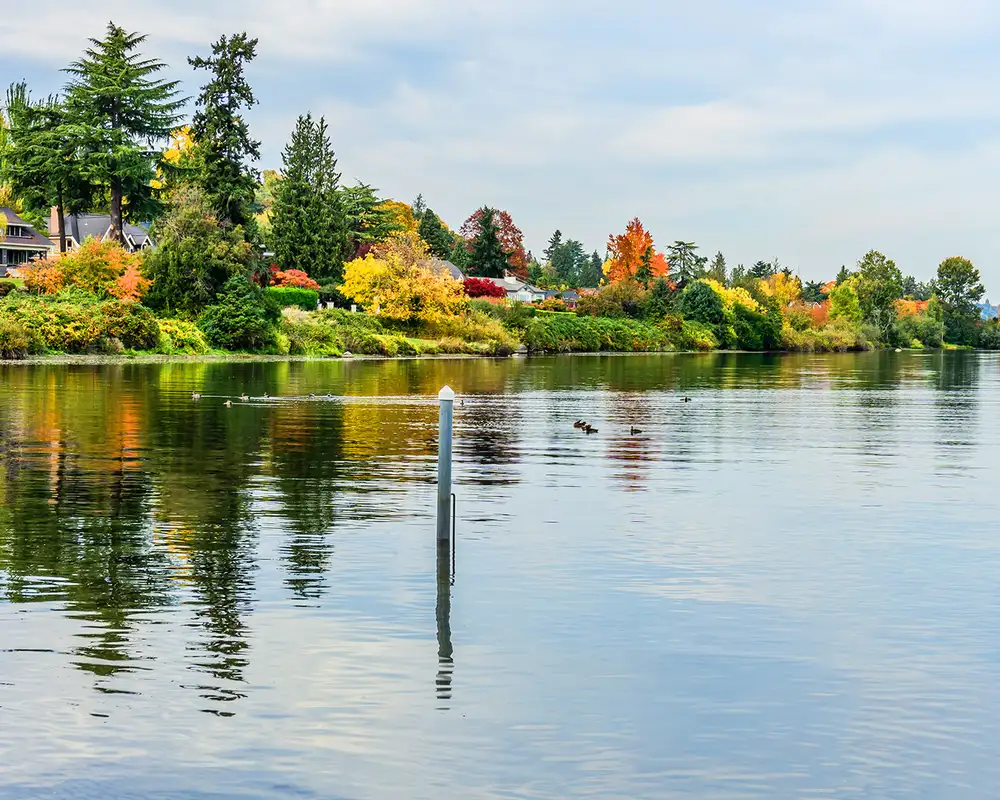The Shore of Lake Washington in Seatlle