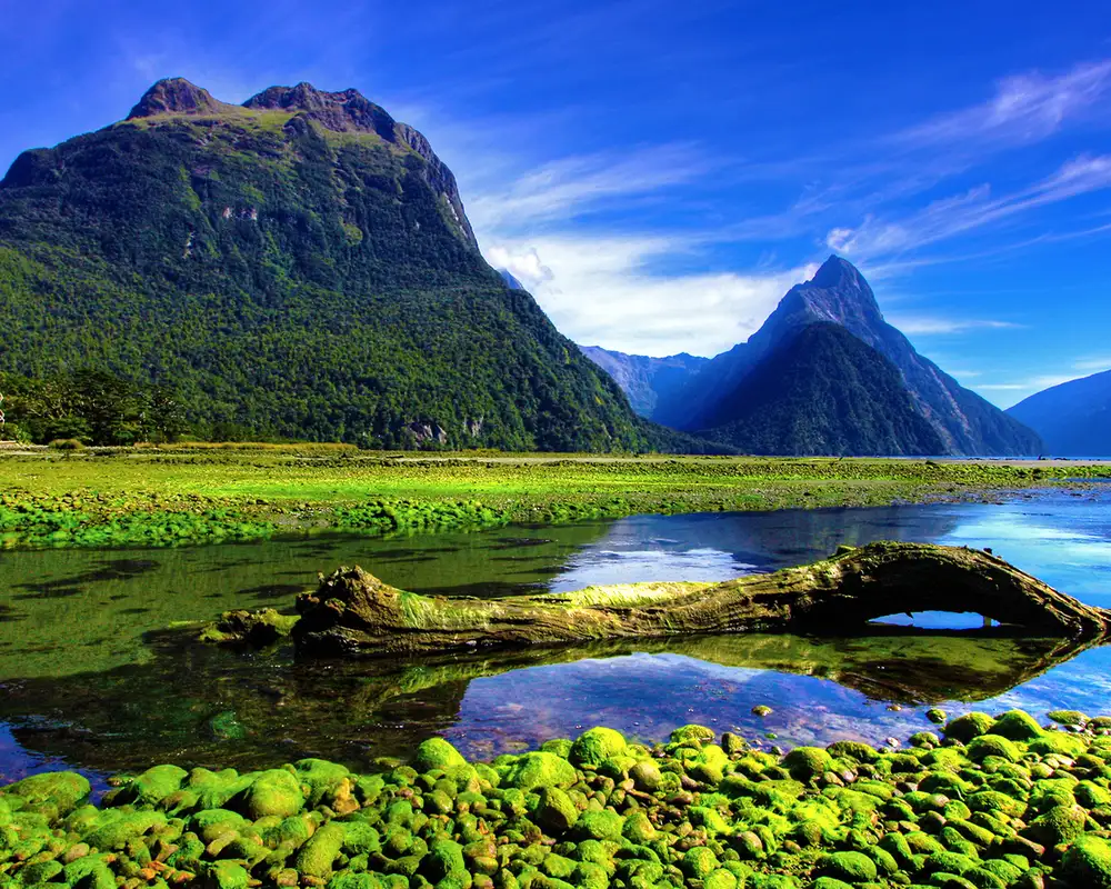 A View of Mirror Lakes along the way to Milford Sound