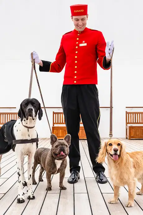 The Kennel Service available on Cunard Cruise Ships