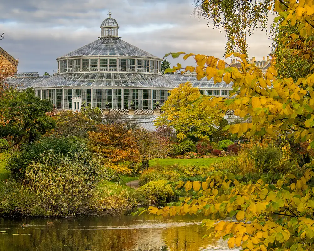 A Botanical Garden during autumn in Copenhagen, Denmark