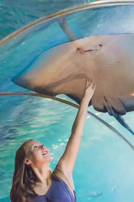 A girl reaching towards a stingray in the Dubai Aquarium
