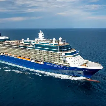 The Celebrity Silhouette