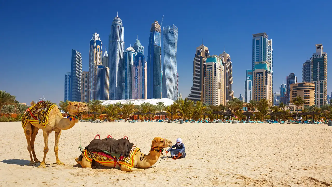 An image of a beach in Dubai. With a man resting with two Camels and the skyline of Dubai in the background