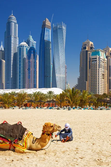 An image of a beach in Dubai. With a man resting with two Camels and the skyline of Dubai in the background