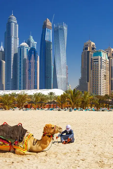 An image of a beach in Dubai. With a man resting with two Camels and the skyline of Dubai in the background