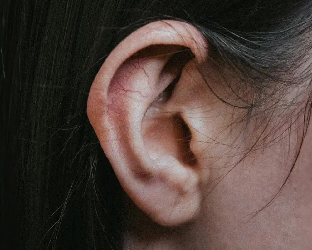 A Persons Ear