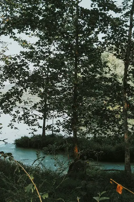 A view of Randor Lake State Park in Nashville, Tennessee