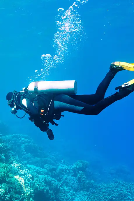 A Diver