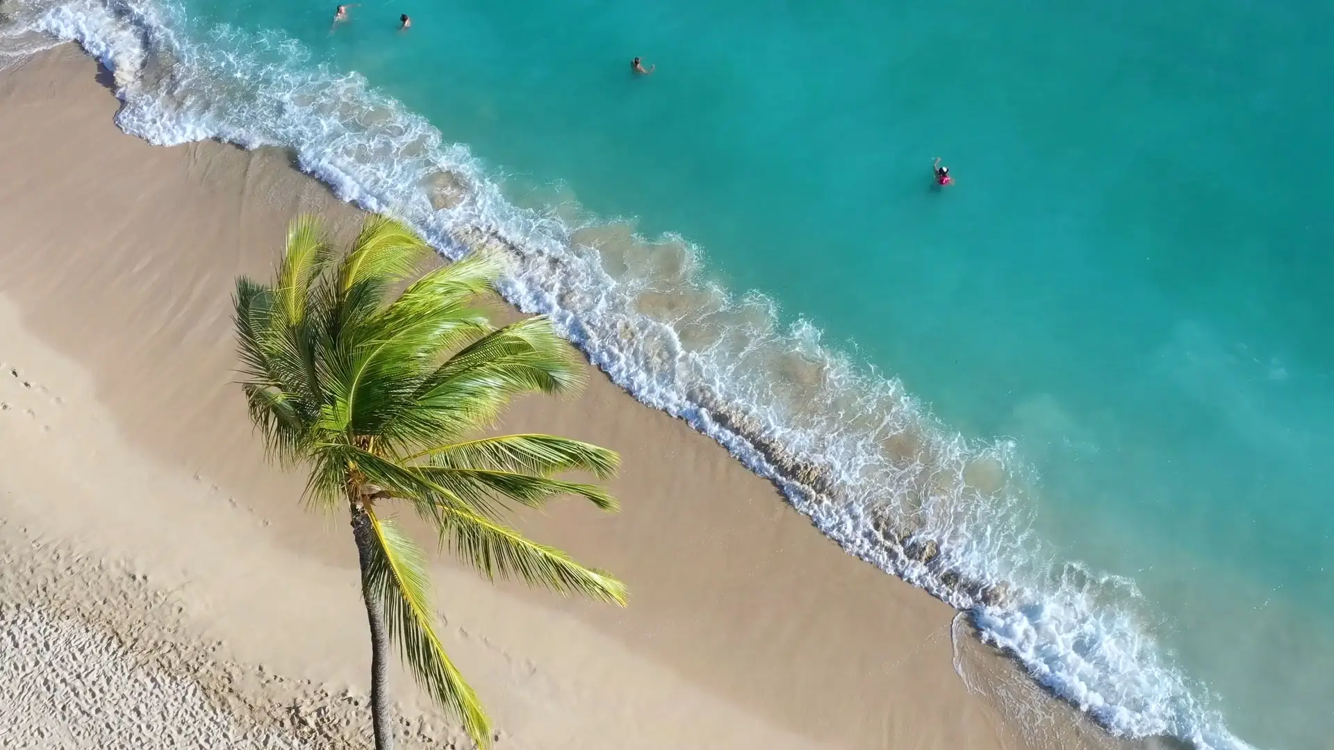 Caribbean Beach