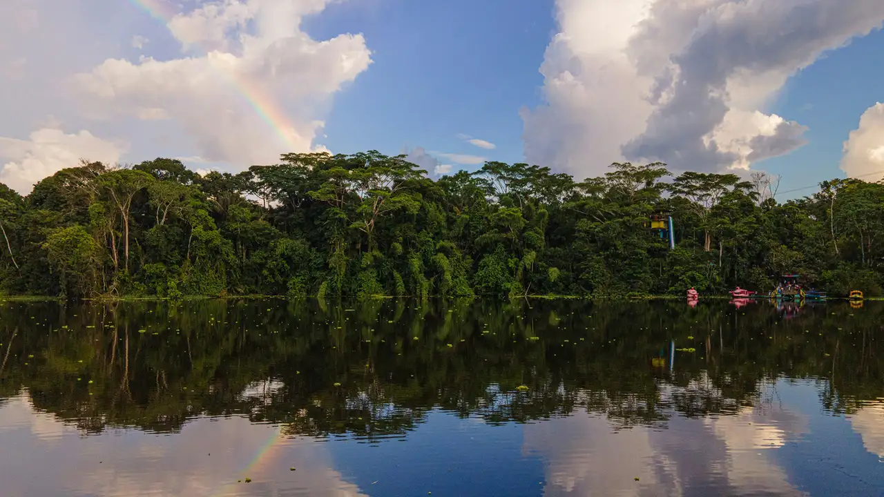An Image of the Amazon River in the Amazon Rainforest