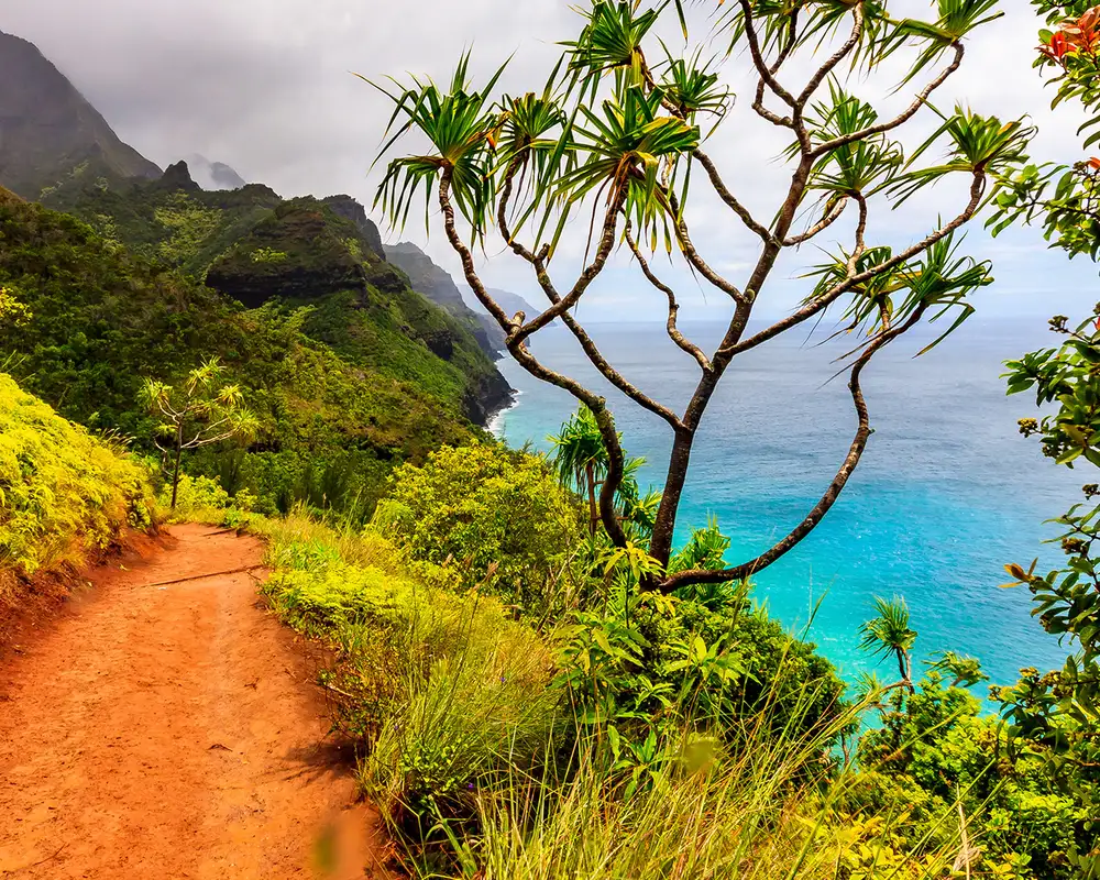 A view of Hawaii from a cliff top
