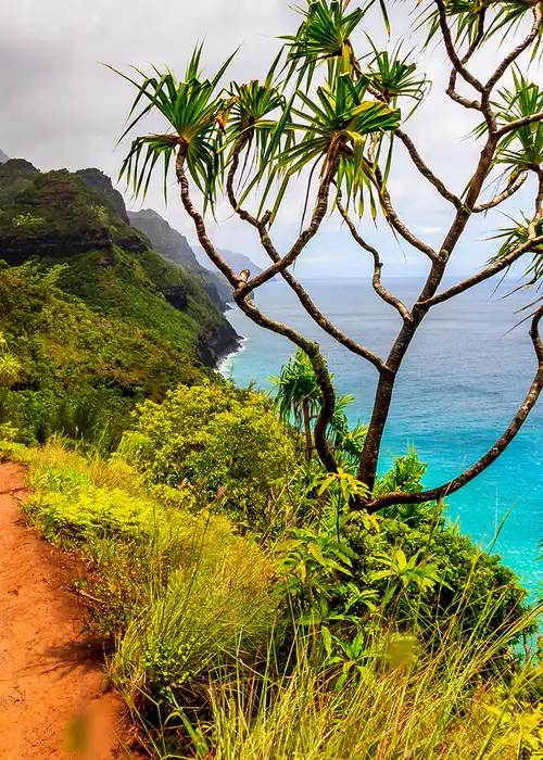 A view of Hawaii from a cliff top