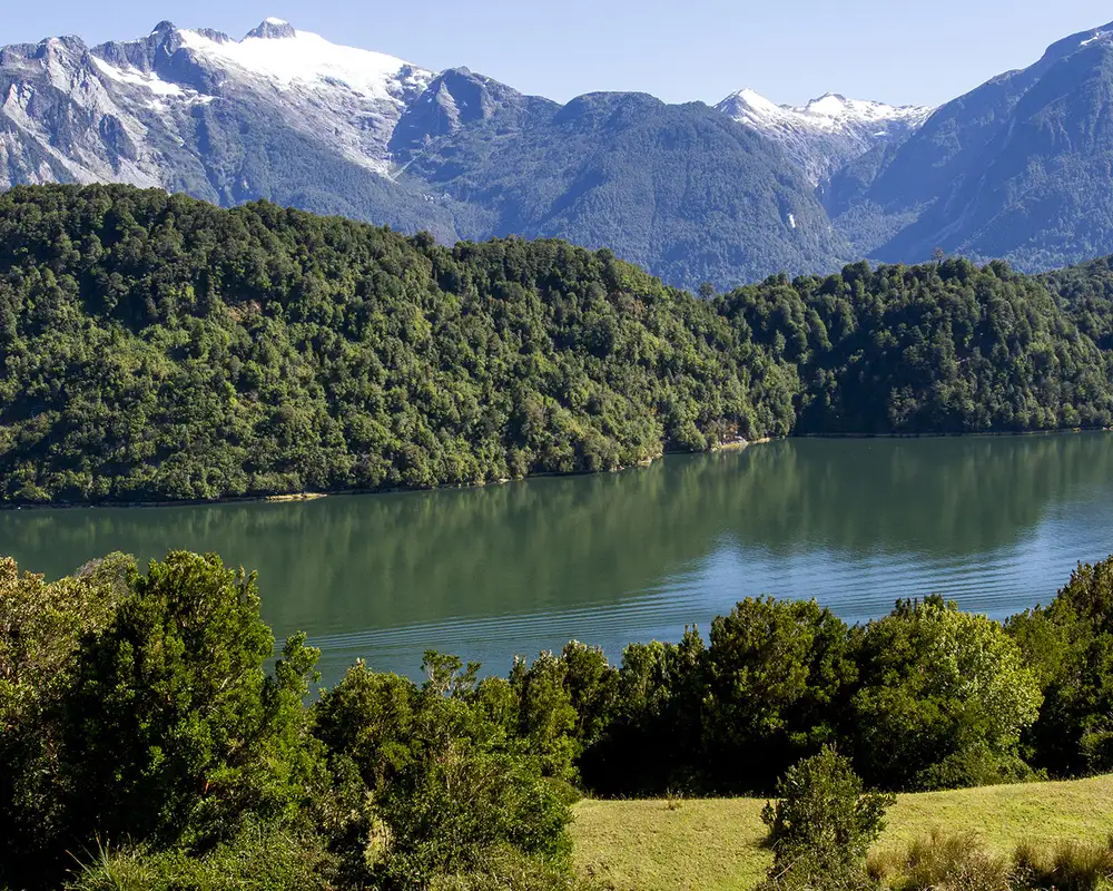 A river in Patagonia with riverbanks full of trees