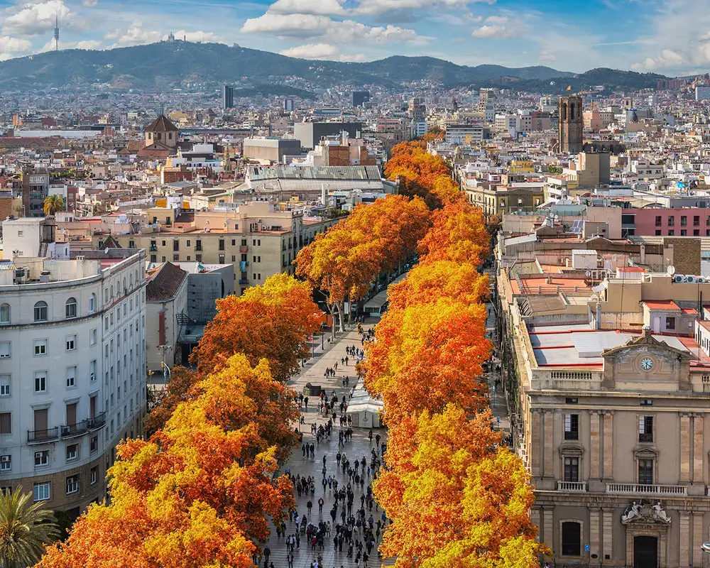 The famous La Rambla Street from above in Barcelona