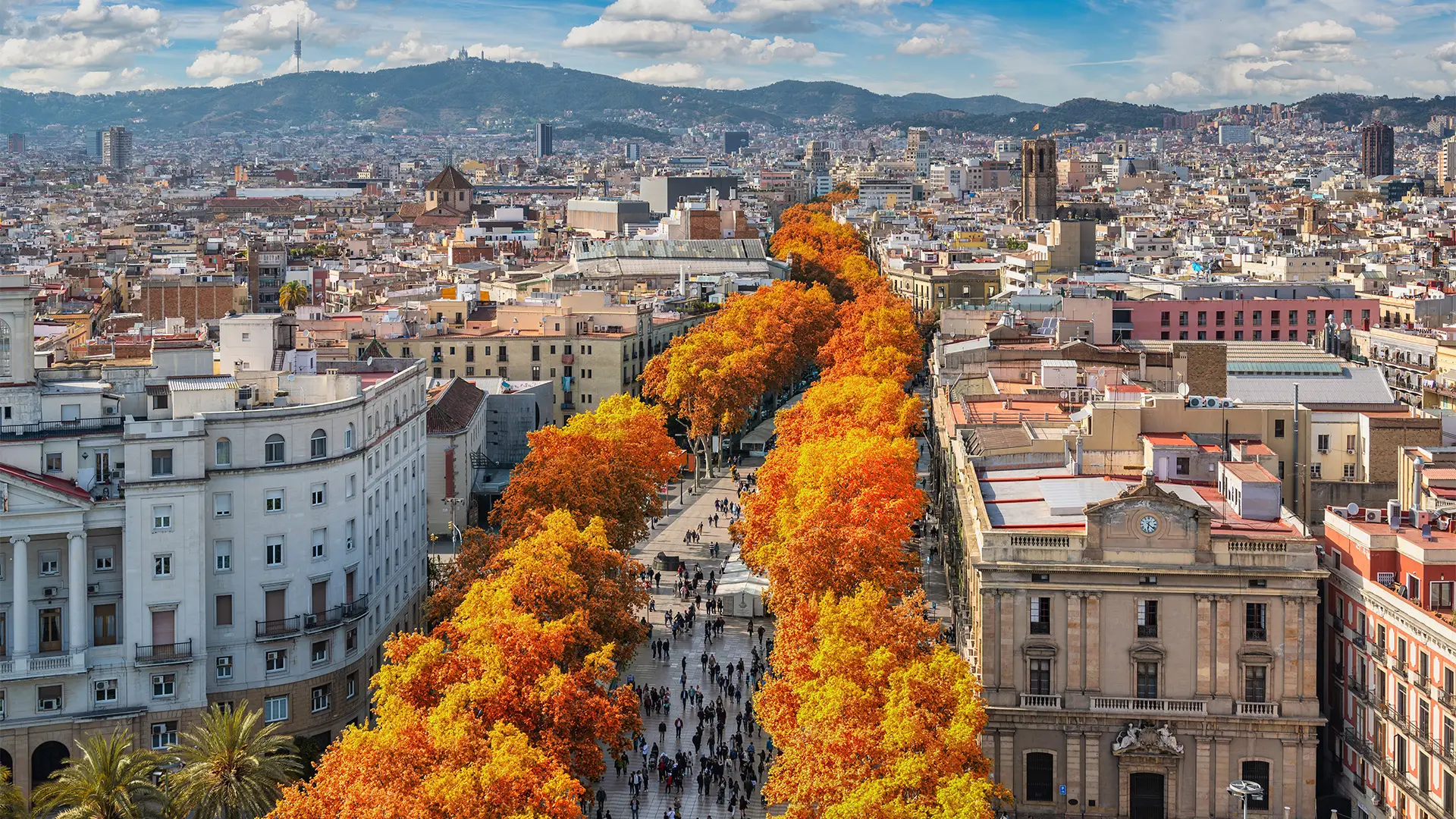 The famous La Rambla Street from above in Barcelona