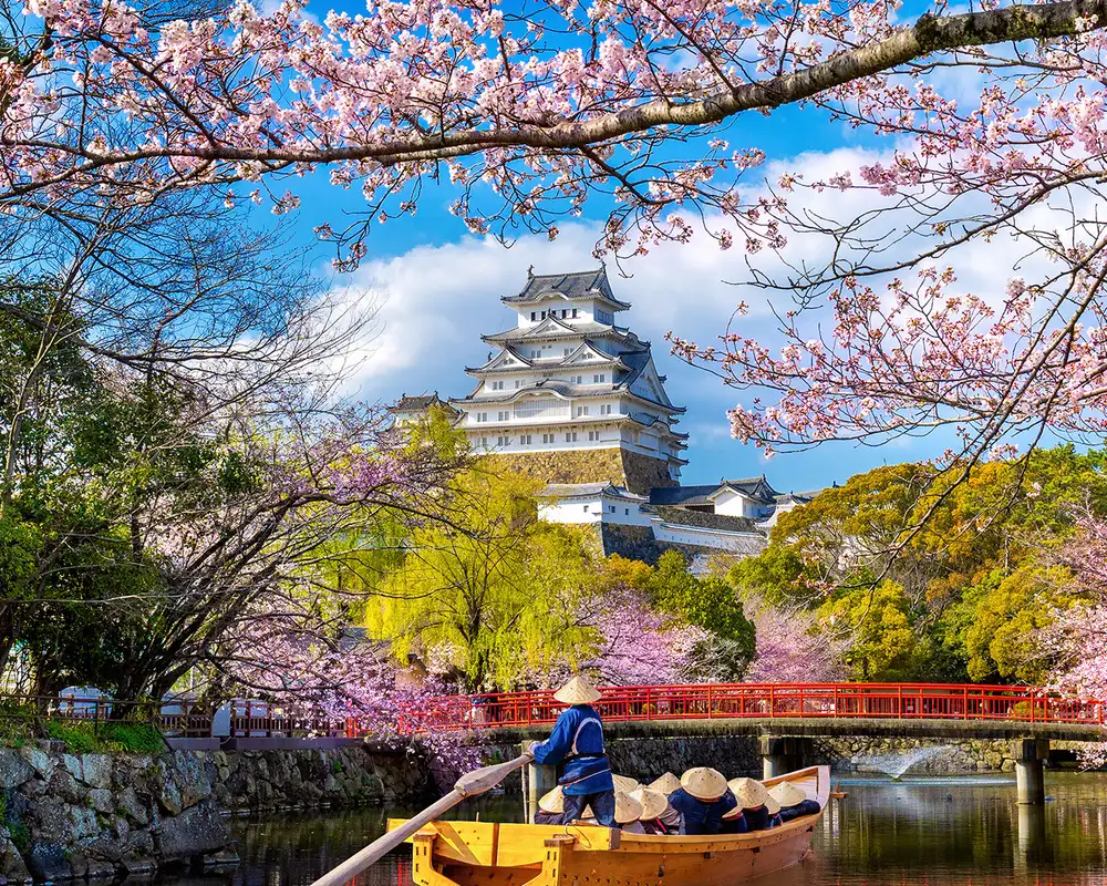 A traditional boat glides on a river surrounded by cherry blossoms, with a historic Japanese castle in the background on a sunny day.