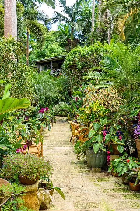 A view of the Andromeda Botanical Gardens in Barbados