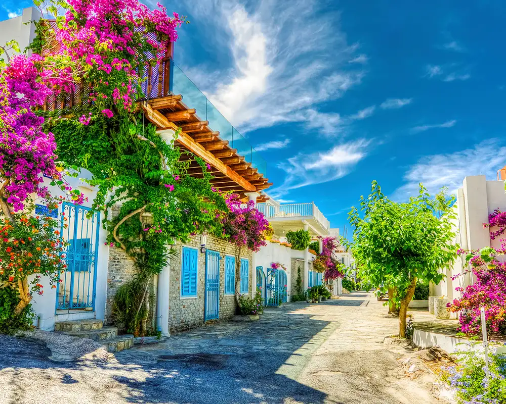 A View of a Street in Bodrum, Turkey covered in colourful flowers