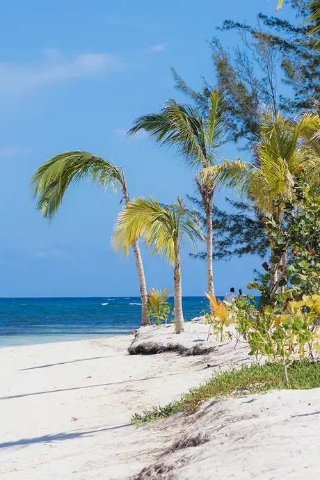 A View of a White Sandy Beach in Falmouth, Jamaica