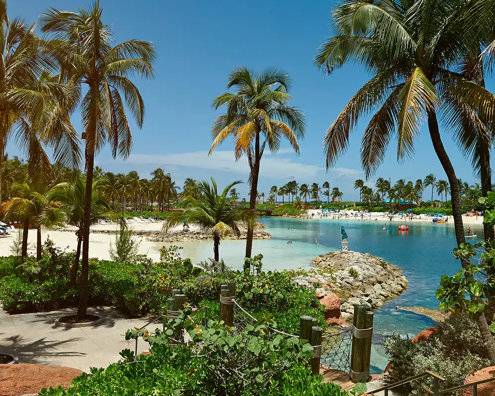 A View of a beach covered with palm trees in Nassau