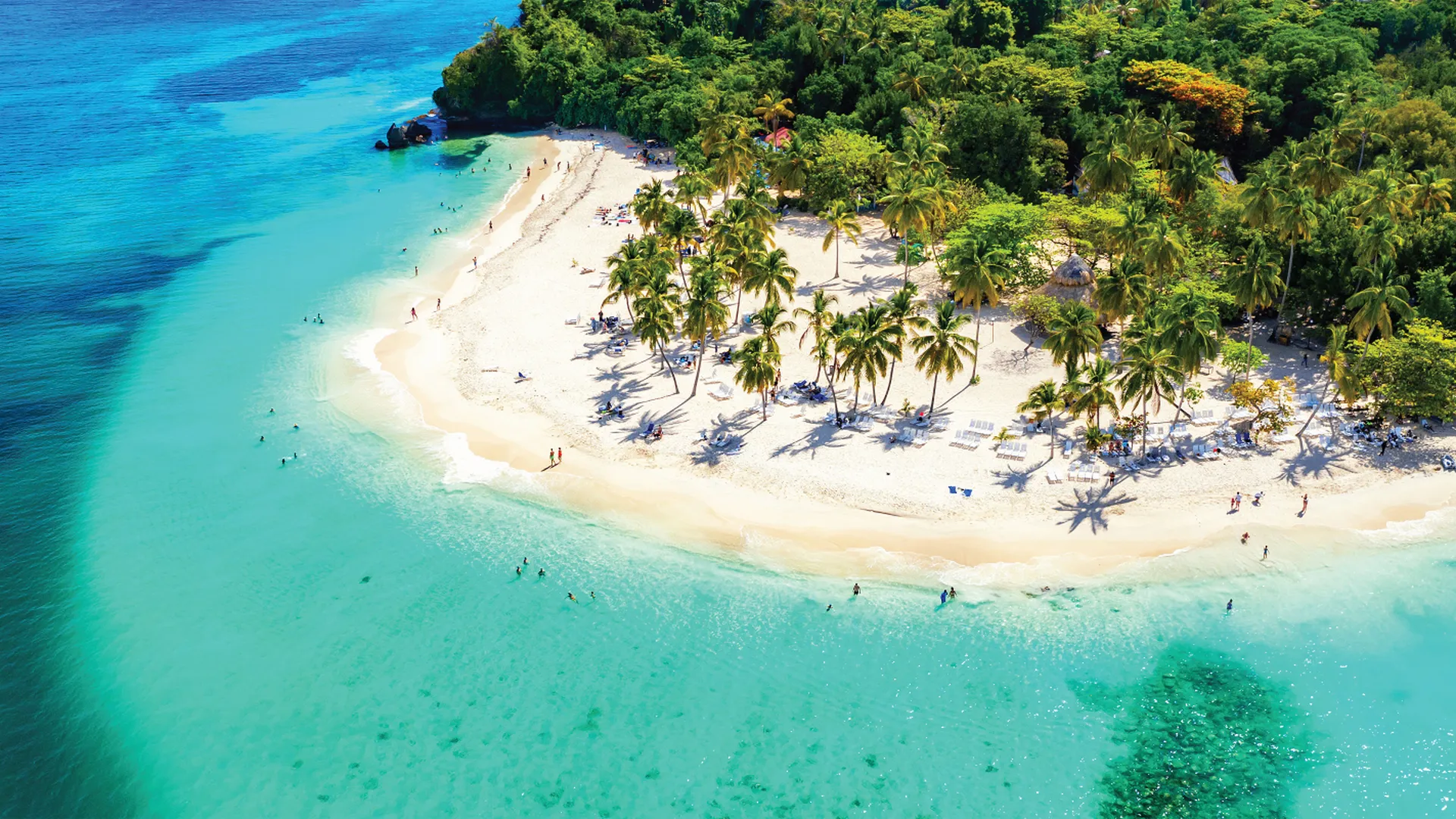 Carribean Background