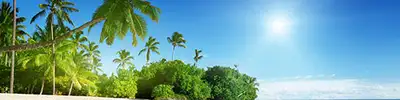 A bright sunny Caribbean beach