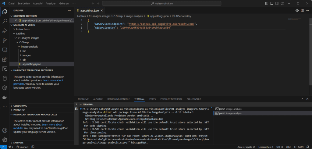 Screenshot eines Code-Editors, der eine JSON-Datei mit API-Endpunkt- und Schlüsselinformationen sowie ein Terminal mit Fehlermeldungen anzeigt.