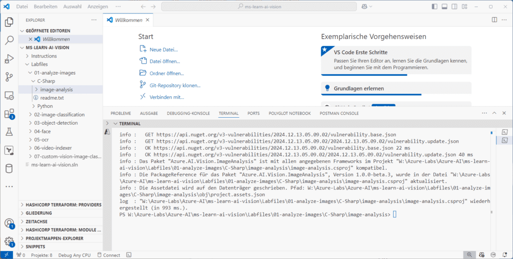 Ein Computerbildschirm mit einem Code-Editor und einem geöffneten Terminal-Fenster, das Code im Zusammenhang mit Azure und maschinellem Lernen anzeigt.
