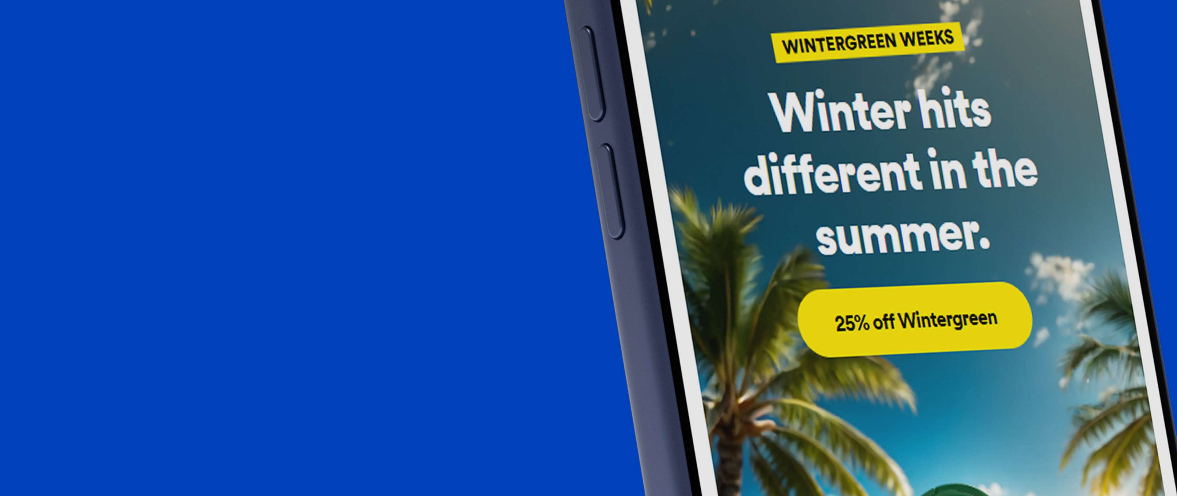 Smartphone screen showing an ad: "Winter hits different in the summer. 25% off Wintergreen," with palm trees in the background.