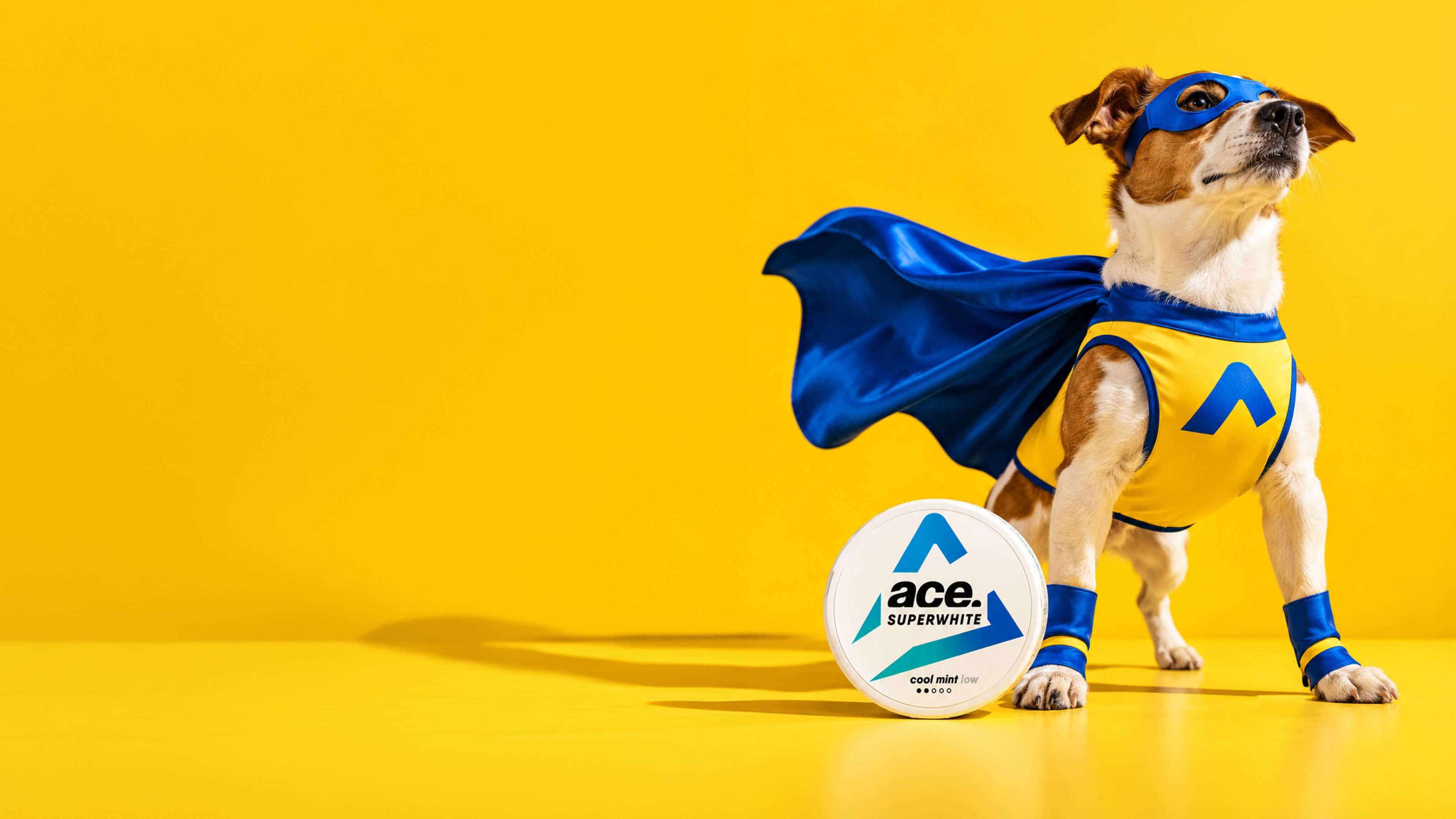 A dog in a superhero costume with a blue cape stands next to an "ace. SUPERWHITE cool mint" container on a bright yellow background.