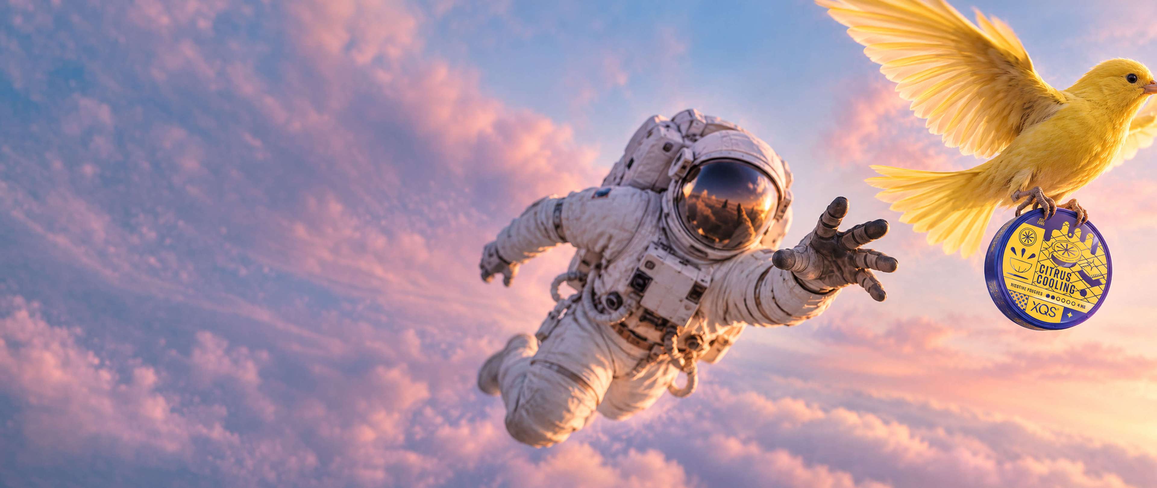 An astronaut reaches out towards a flying yellow bird holding a can labeled "Citrus Cooling," set against a cloudy sky with pink hues.