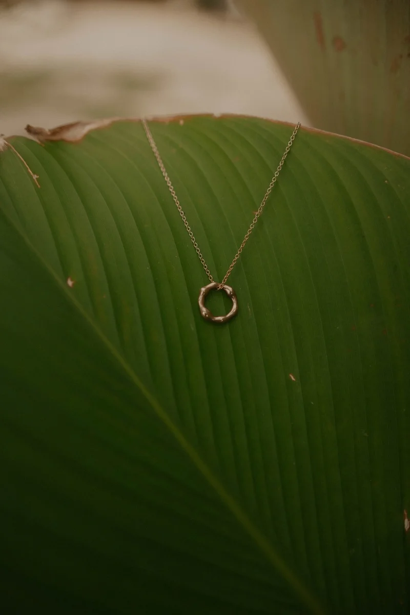 A delicate gold necklace with a irregular circular pendant rests on a large, textured green leaf.